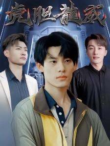 短剧虎胆龙威海报