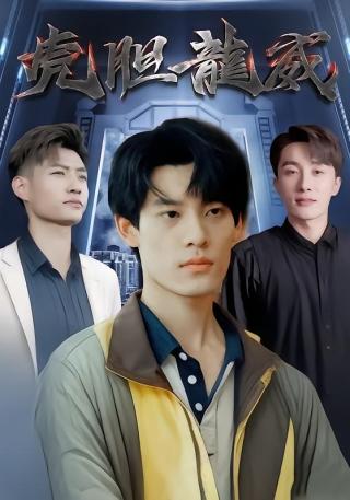 短剧虎胆龙威海报