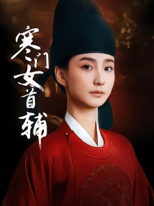短剧寒门女首辅海报