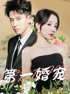 短剧第一婚宠海报