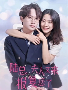 短剧陆总，夫人又来报复您了海报