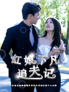 短剧红娘下凡追夫记海报