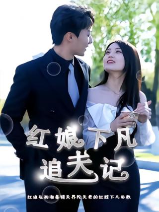 短剧红娘下凡追夫记海报