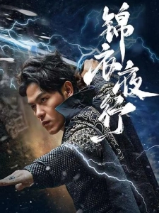 短剧锦衣夜行海报