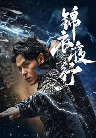 短剧锦衣夜行海报