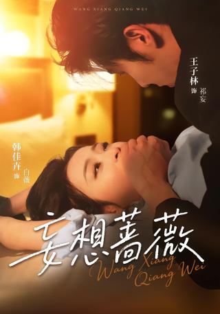 短剧妄想蔷薇海报