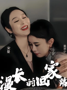 短剧漫长的回家路海报