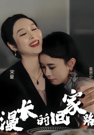 短剧漫长的回家路海报