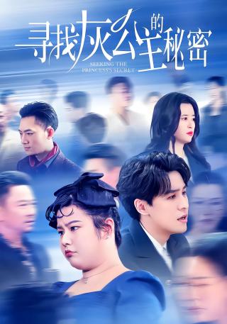 短剧寻找灰公主的秘密海报