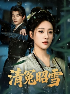 短剧清冤昭雪海报