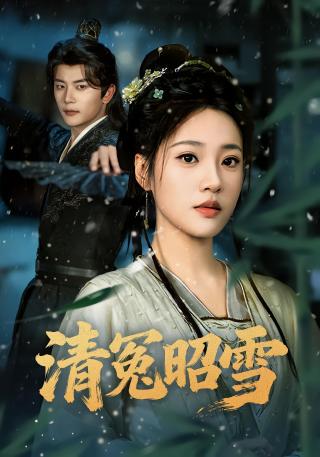 短剧清冤昭雪海报