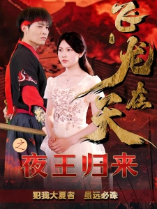 短剧飞龙在天之夜王归来海报