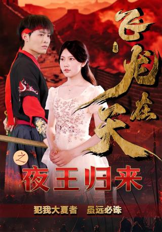 短剧飞龙在天之夜王归来海报