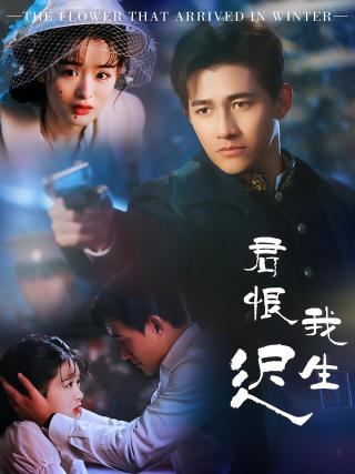 短剧君恨我生迟海报