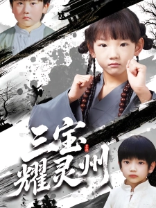 短剧三宝耀灵州海报