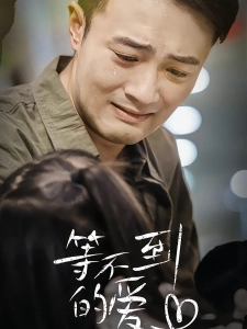 短剧等不到的爱海报