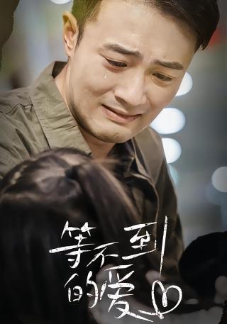 短剧等不到的爱海报