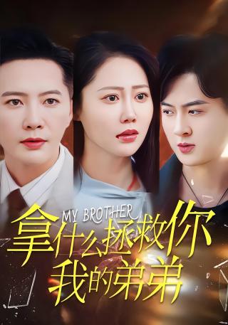 短剧拿什么拯救你我的弟弟海报
