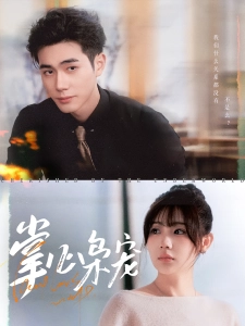 短剧掌心枭宠海报