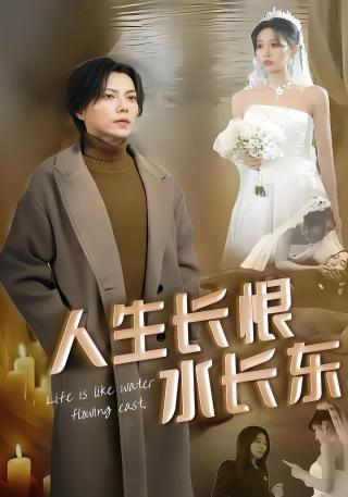 短剧人生长恨水长东海报