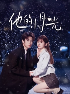 短剧他的小月光海报