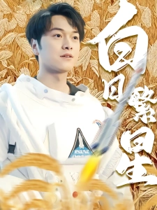 短剧白日繁星海报