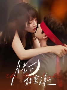 短剧月光下的重逢海报