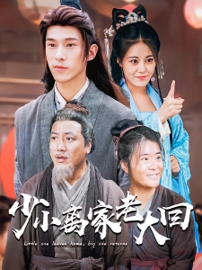 短剧少小离家老大回海报