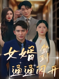 短剧女婿驾到，通通闪开海报