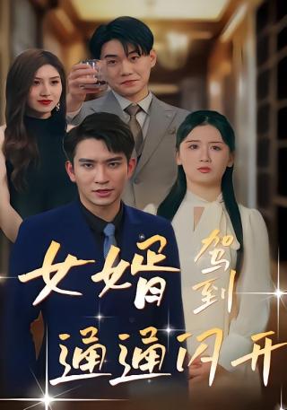 短剧女婿驾到，通通闪开海报