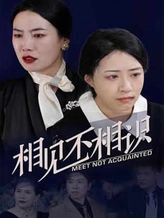 短剧相见不相识海报