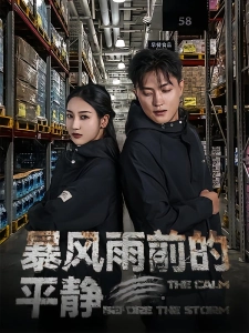 短剧暴风雨前的平静海报