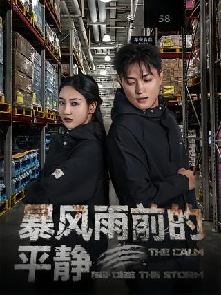 短剧暴风雨前的平静海报