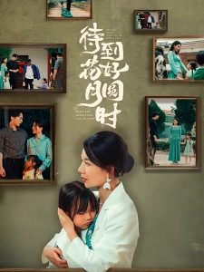 短剧待到花好月圆时海报