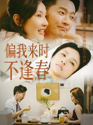 短剧偏我来时不逢春海报