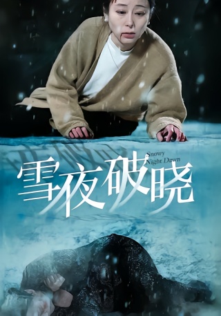 短剧雪夜破晓海报