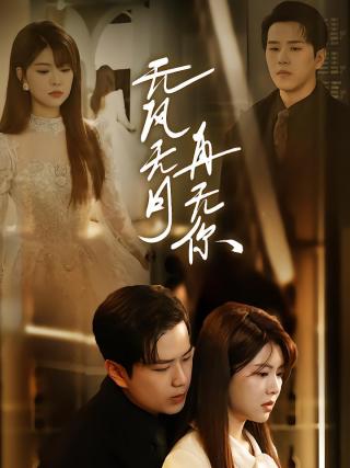 短剧无风无月再无你海报