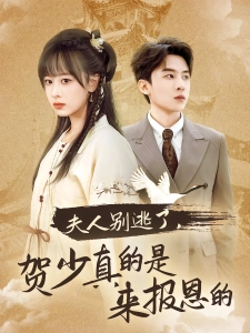 短剧夫人别逃了，贺少真的是来报恩的海报