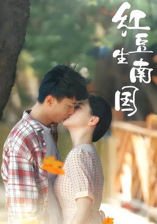 短剧红豆生南国海报