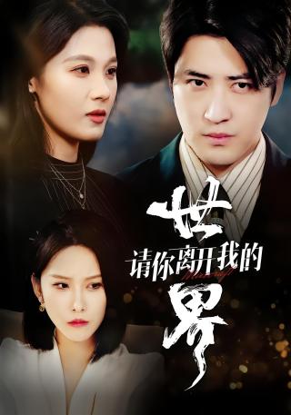 短剧请你离开我的世界海报