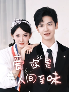 短剧爱你是人间至味海报