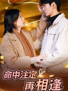 短剧命中注定再相逢海报