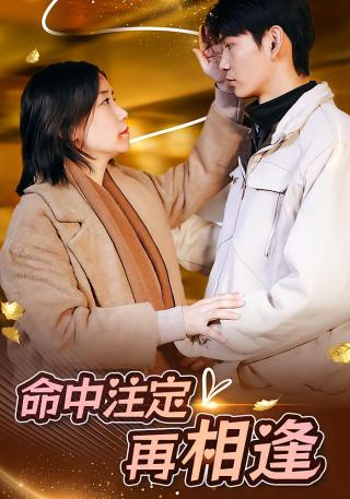 短剧命中注定再相逢海报