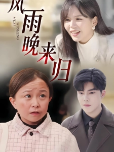 短剧风雨晚来归海报