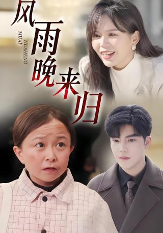 短剧风雨晚来归海报