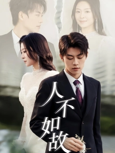 短剧人不如故海报