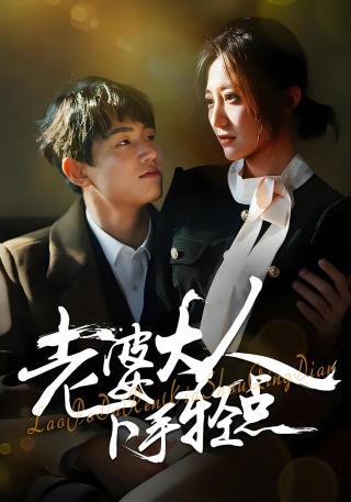 短剧老婆大人下手轻点海报