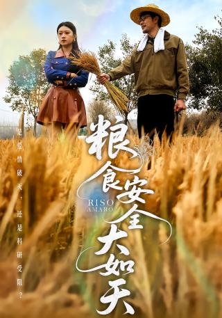 短剧粮食安全大如天海报