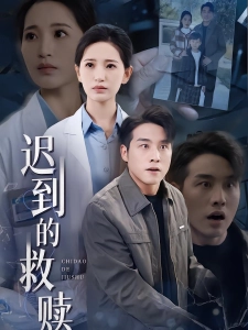 短剧迟到的救赎海报