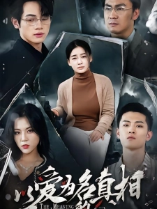 短剧以爱为名的真相海报